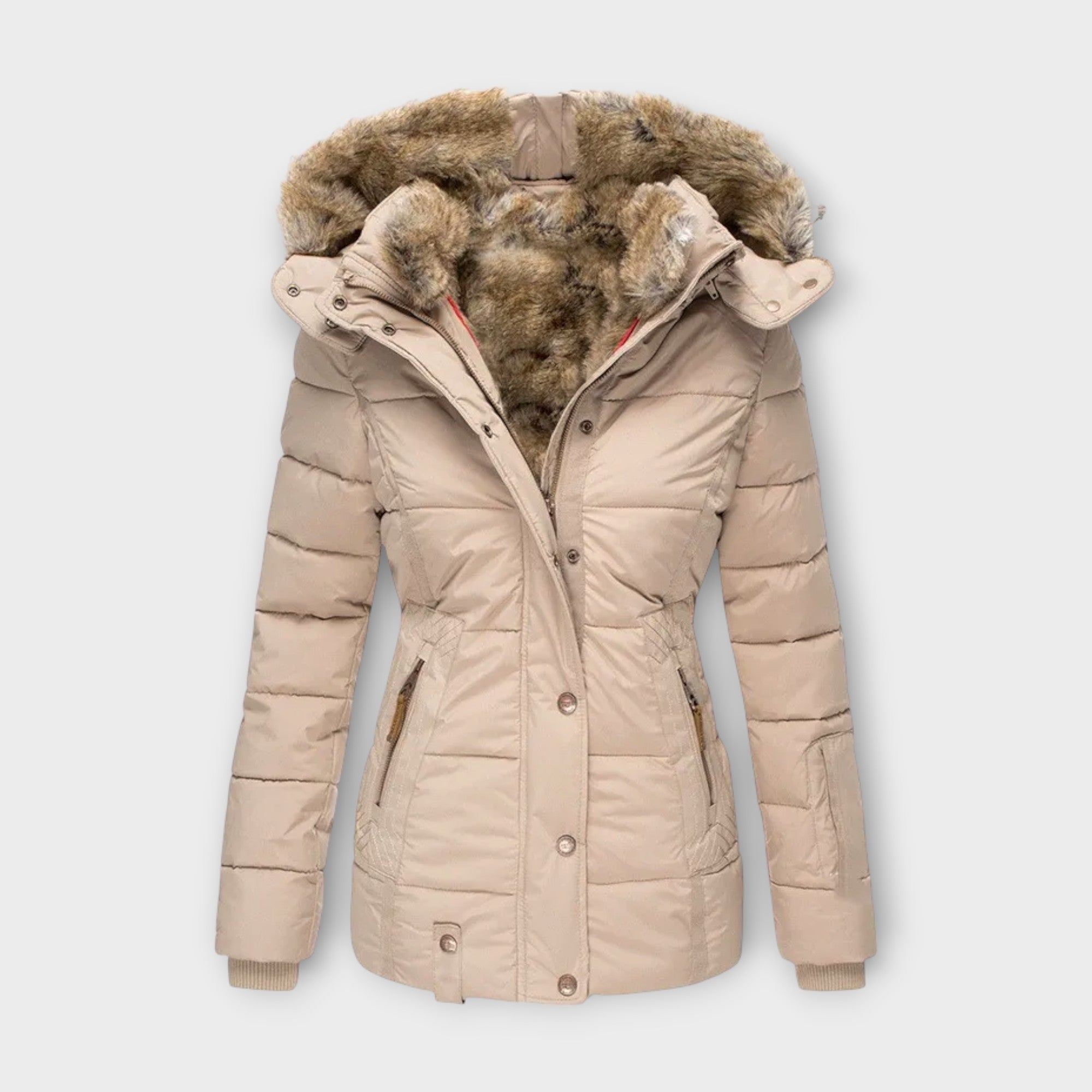 Jacket with Lining