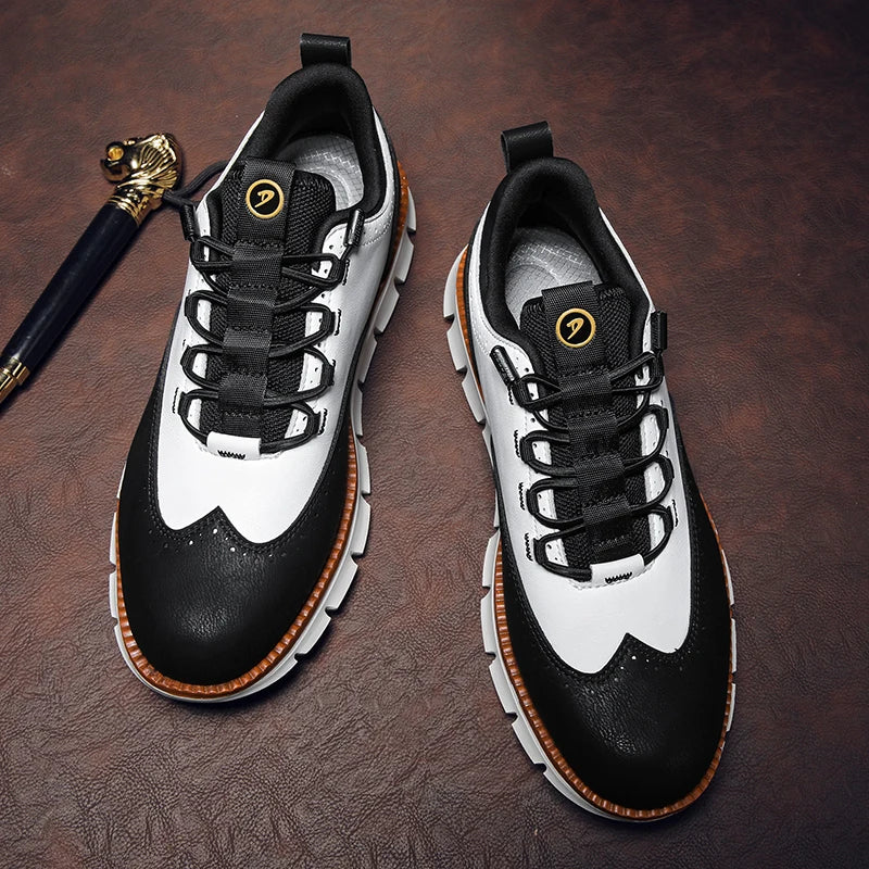 Elegant Italian leather shoes