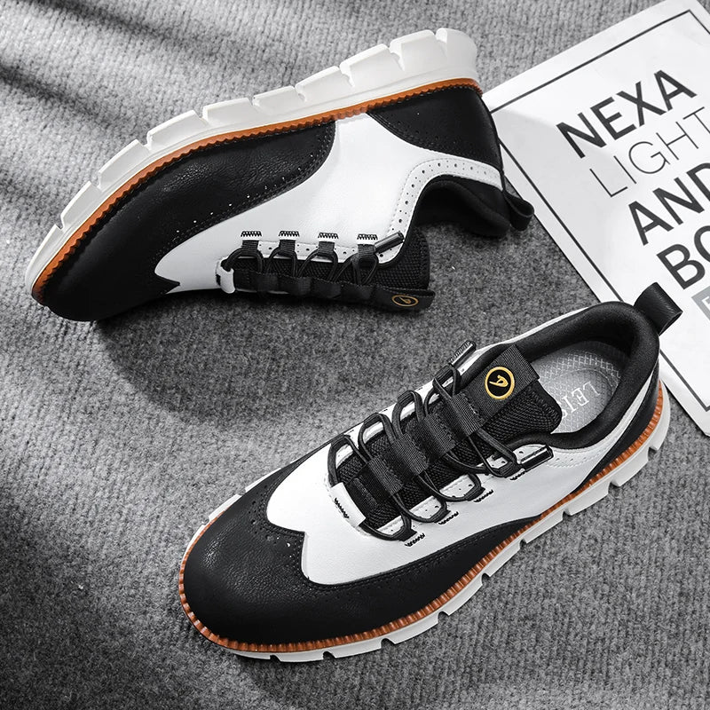 Elegant Italian leather shoes