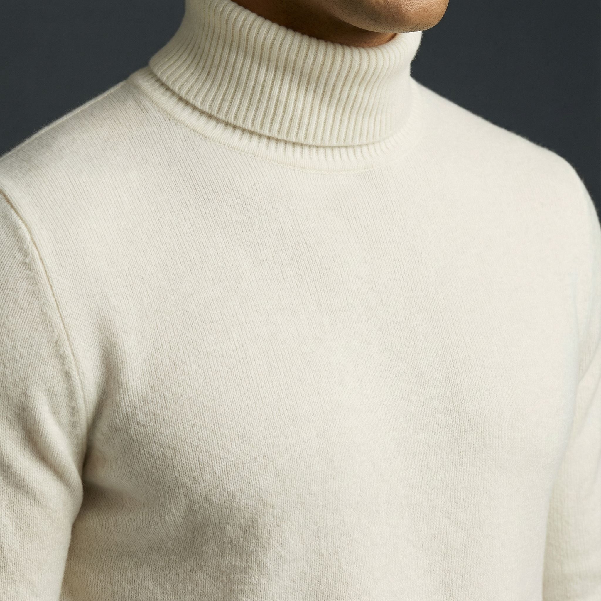 Everyday Confidence Turtleneck Sweater