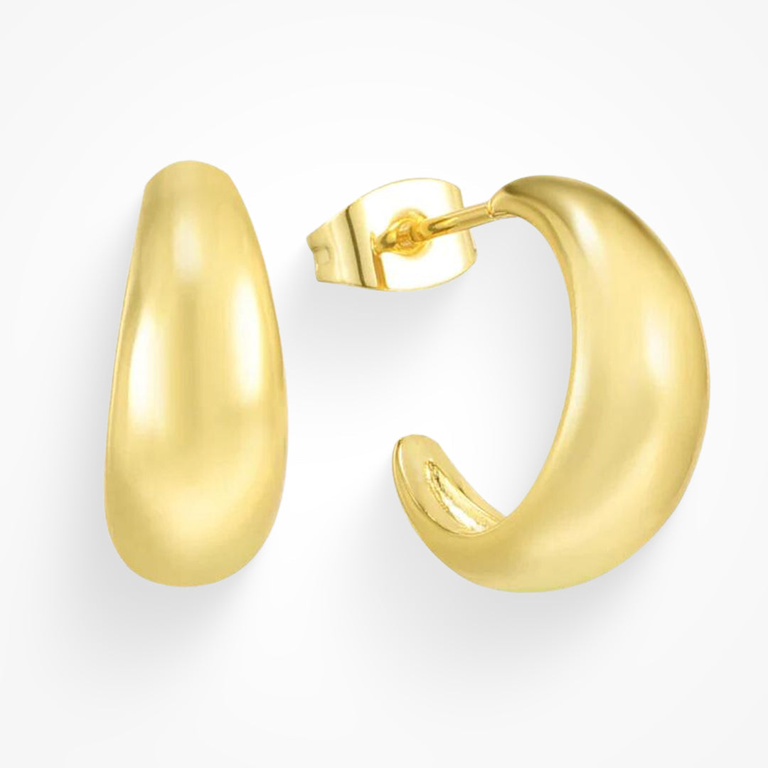 Elegant and Lightweight Earrings