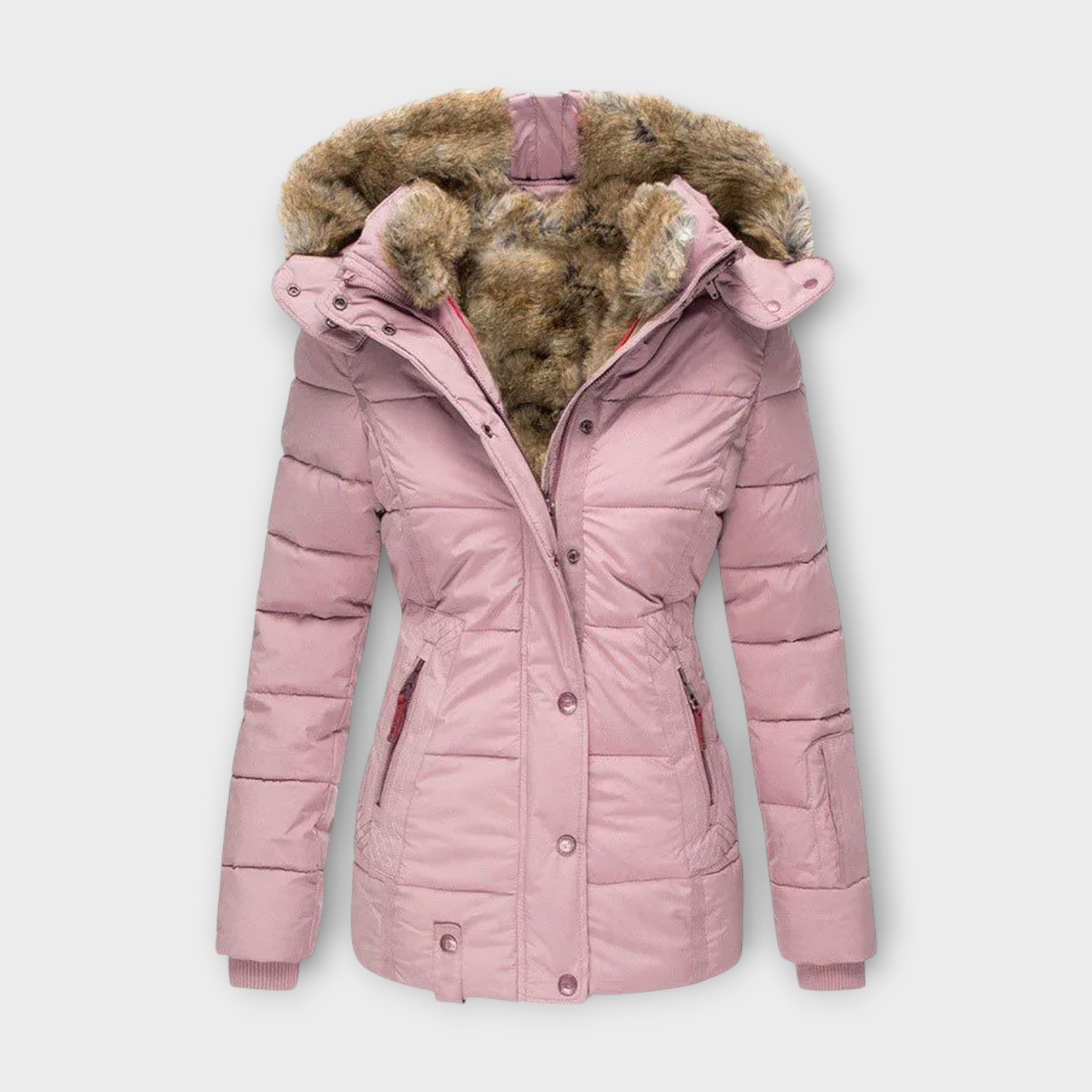 Jacket with Lining