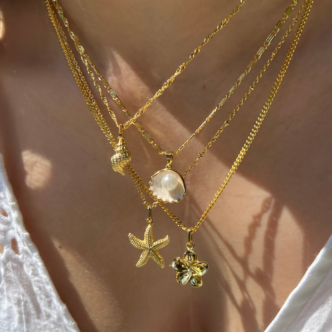 Shell Collar Marina