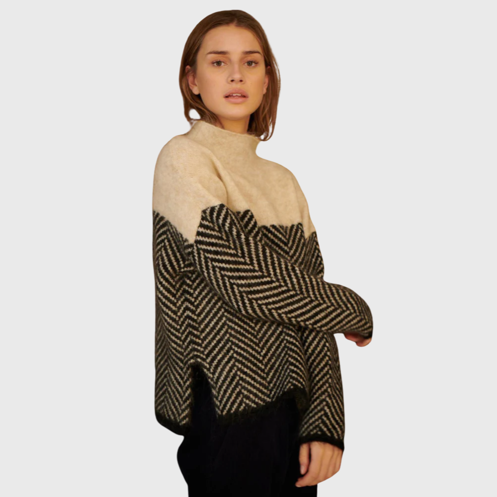 Contrast Turtleneck Sweater