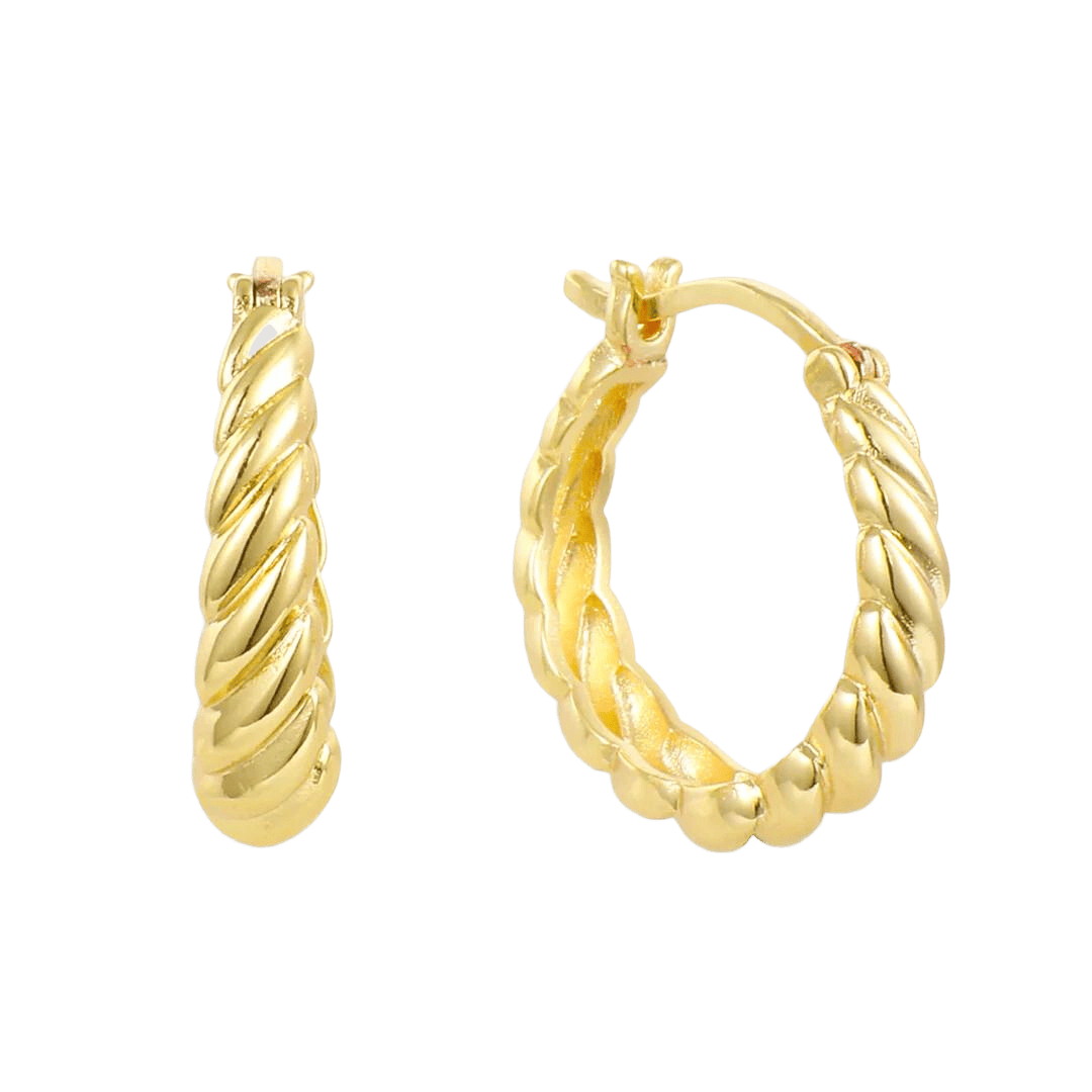 Elegant and Lightweight Earrings