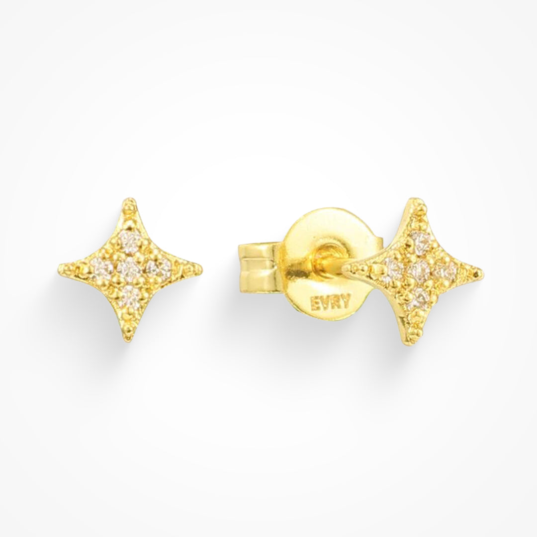 Elegant Earrings with Subtle Shine